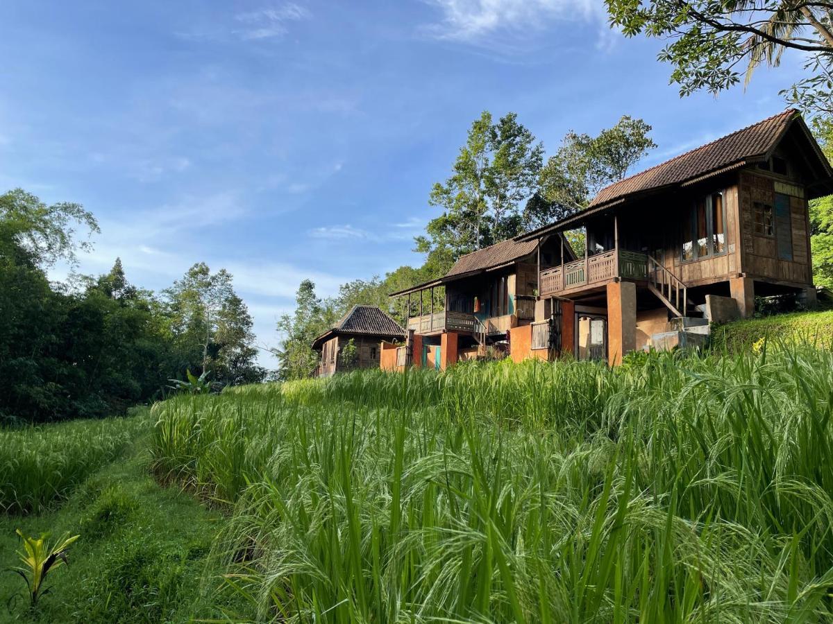 Oemah Tepi Sawah Lodge *