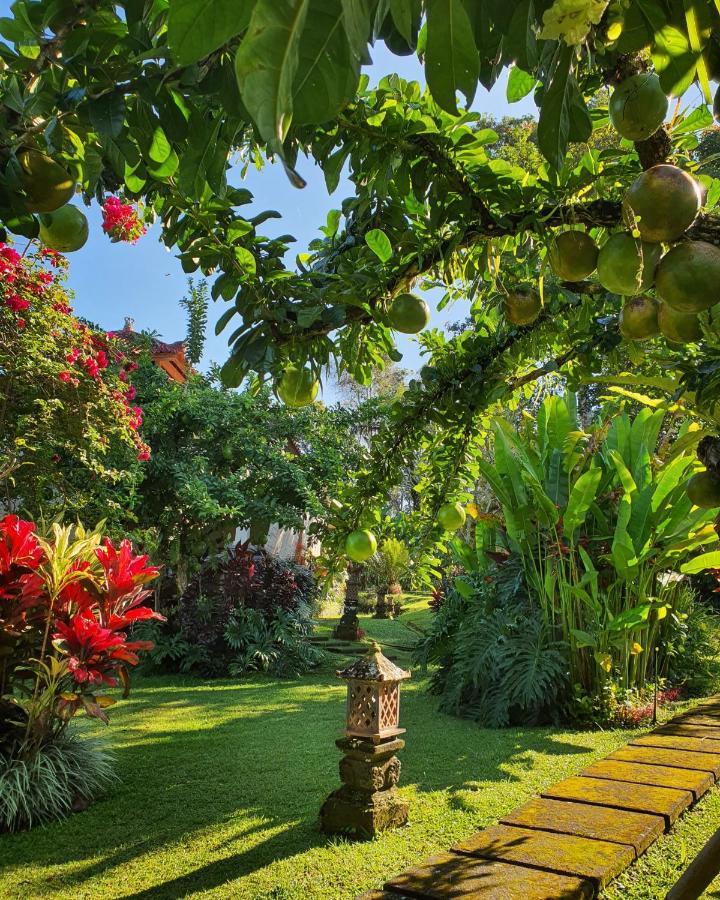 Sava Eco Retreat * Padangan (Bali)