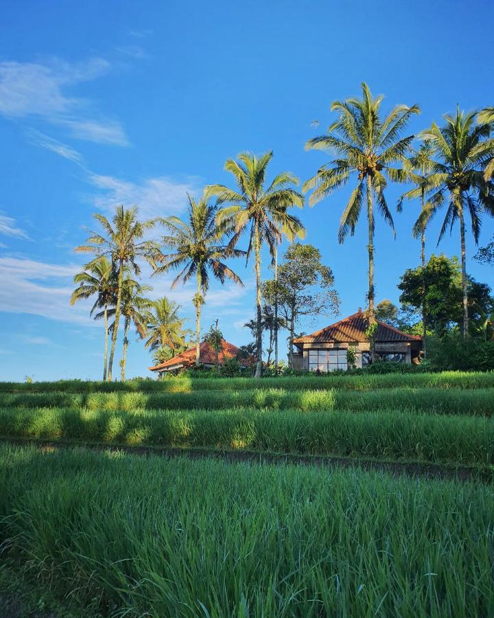 Sava Eco Retreat Resort