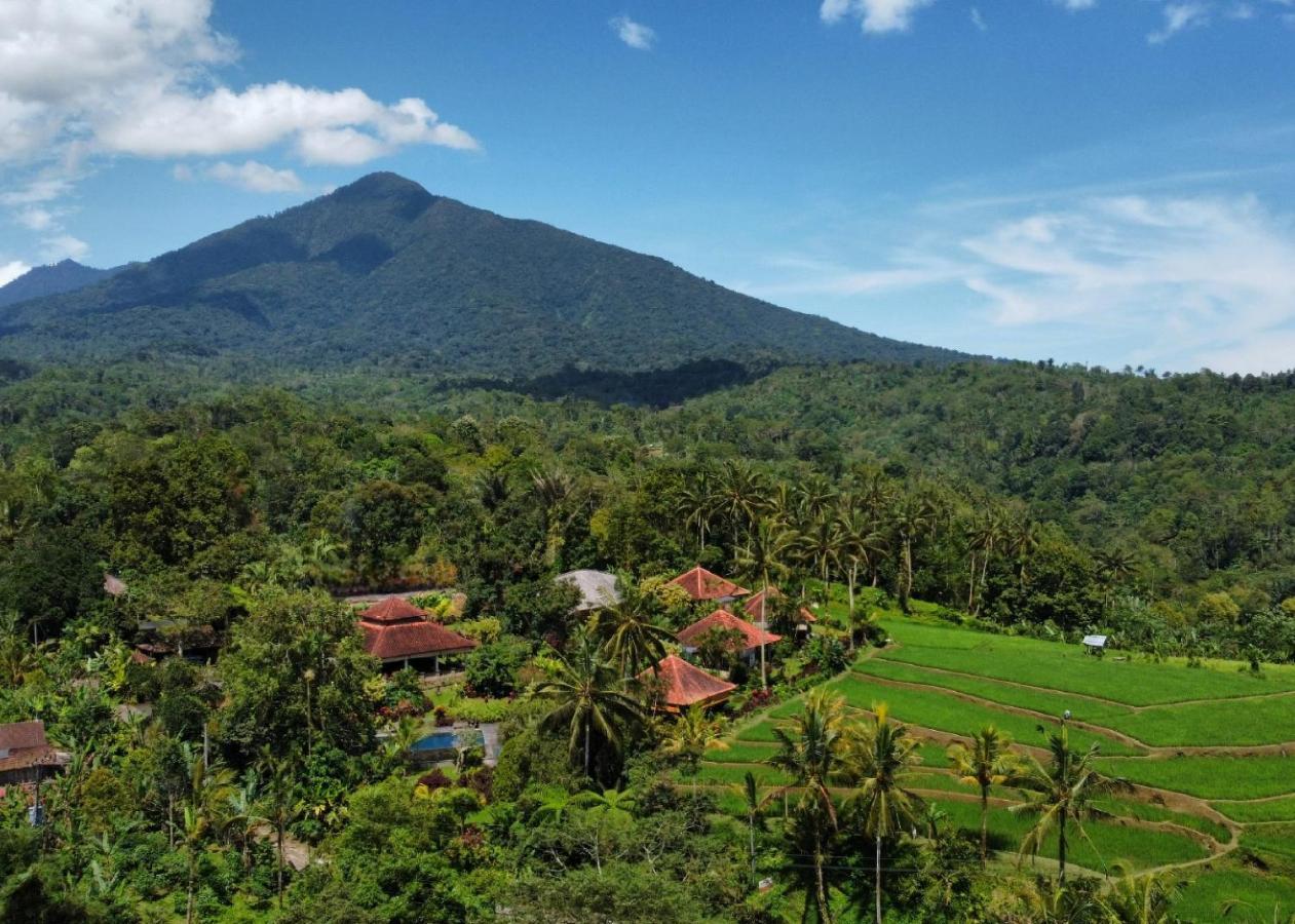Resort Sava Eco Retreat Padangan (Bali)