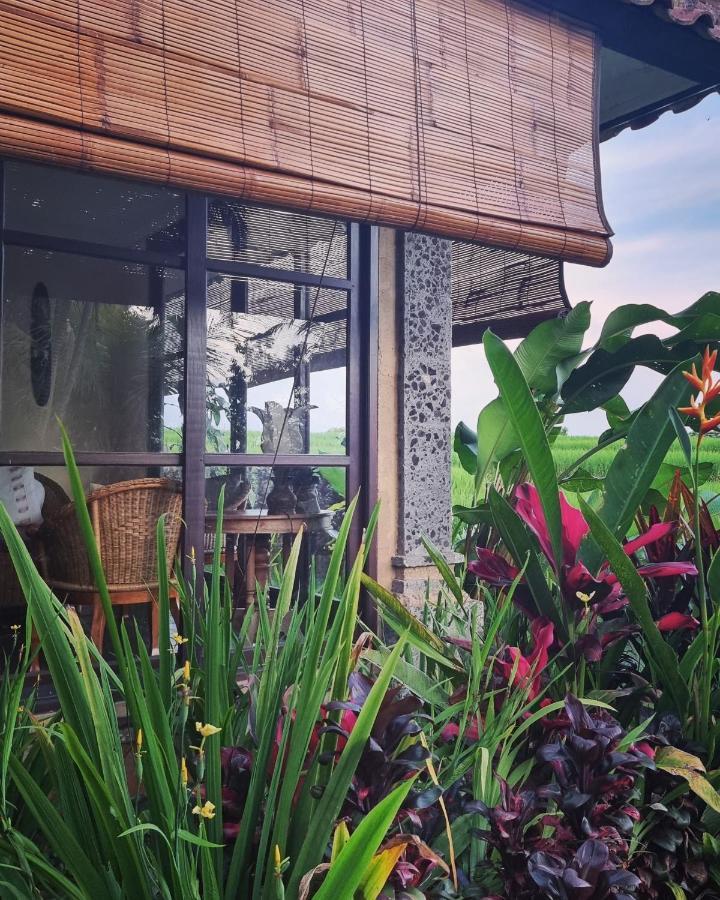 Sava Eco Retreat Resort Padangan (Bali)
