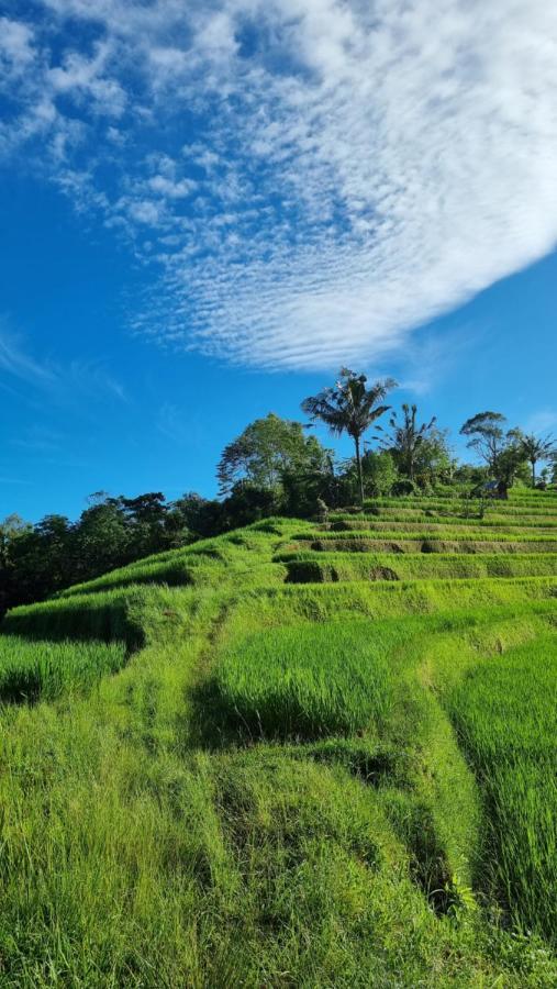 Resort Sava Eco Retreat Padangan (Bali)