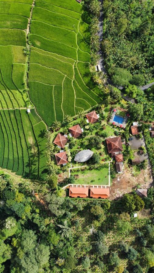 Sava Eco Retreat *
