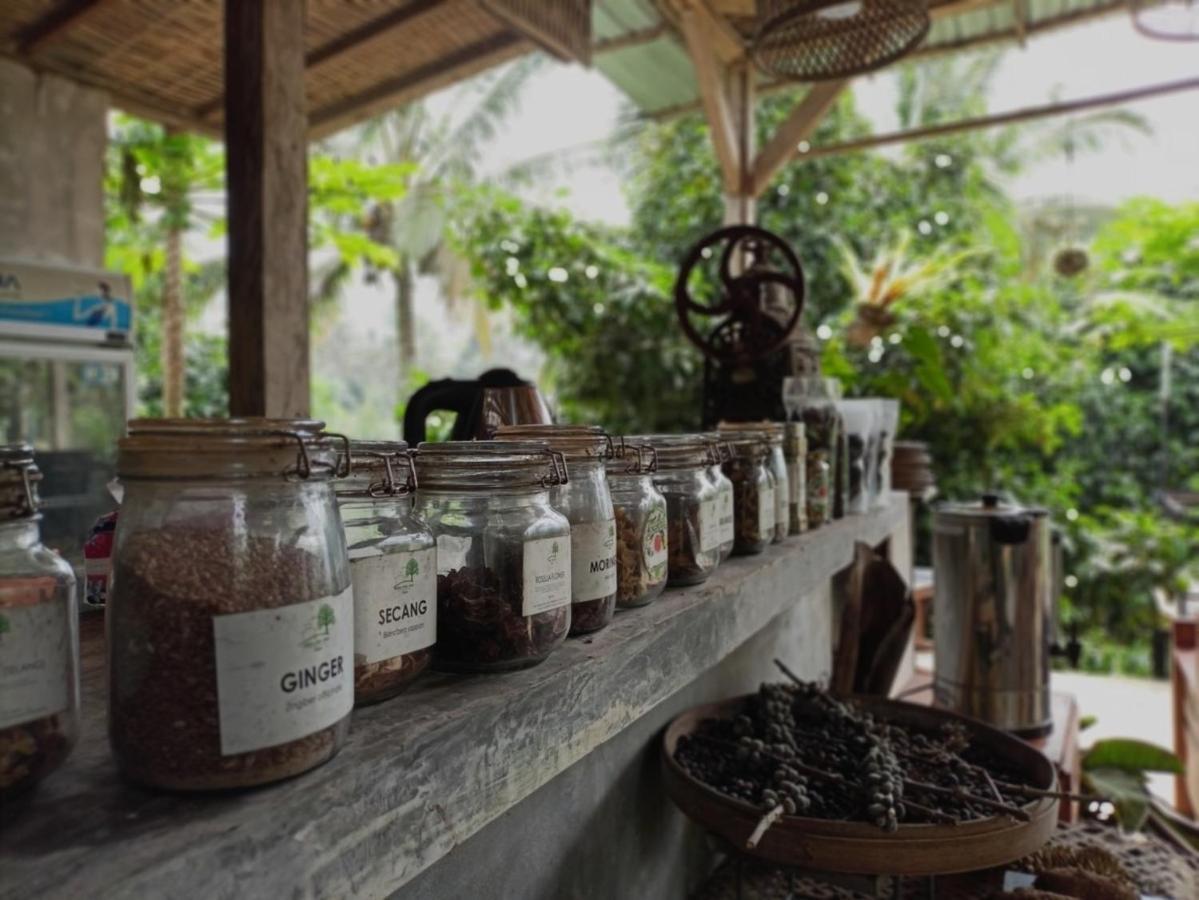 Lodge Padangan By Bali