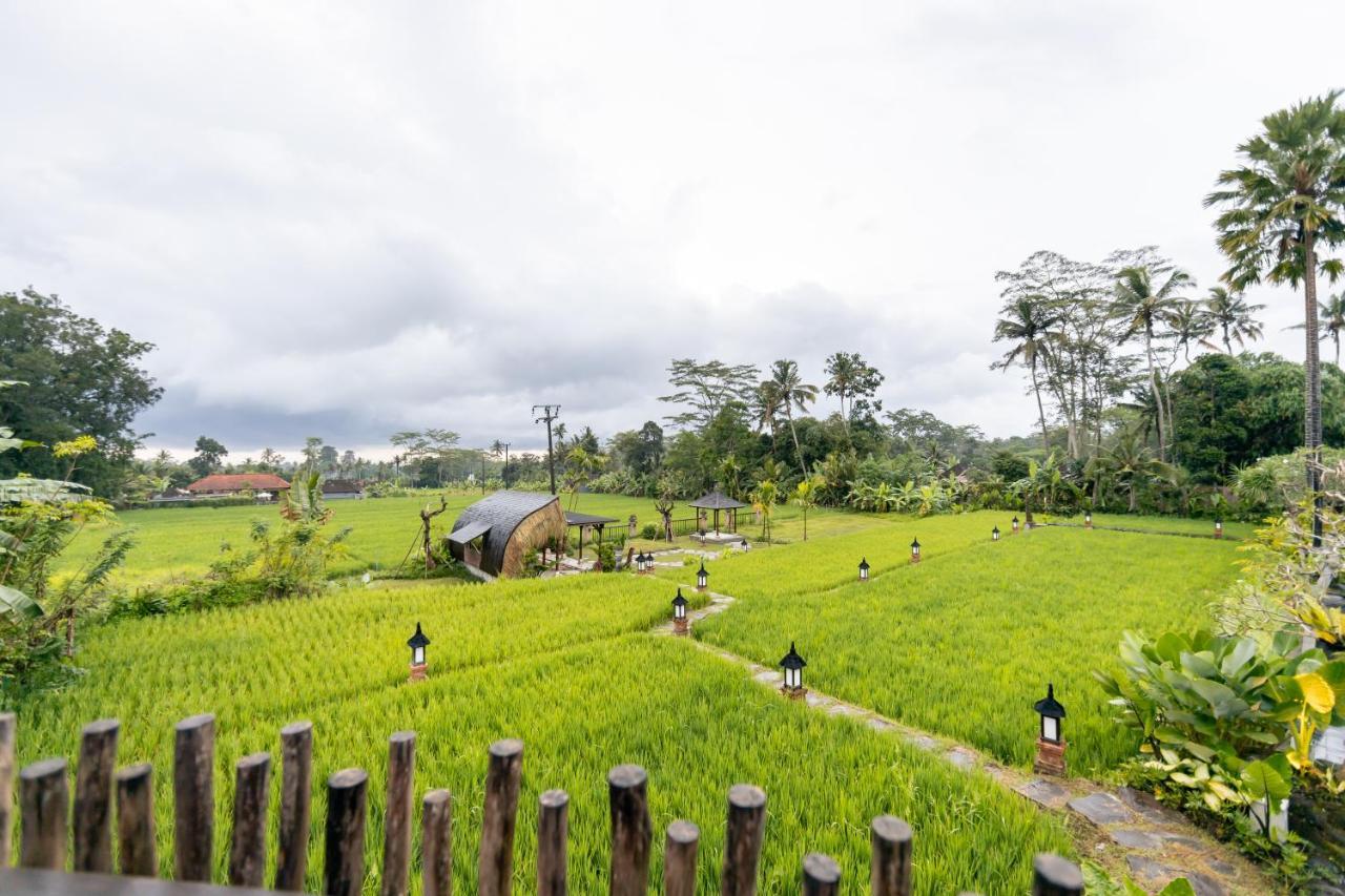Anumana Village 4*