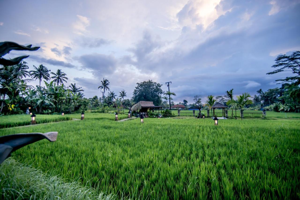 Anumana Village Hotel Ubud (Bali)