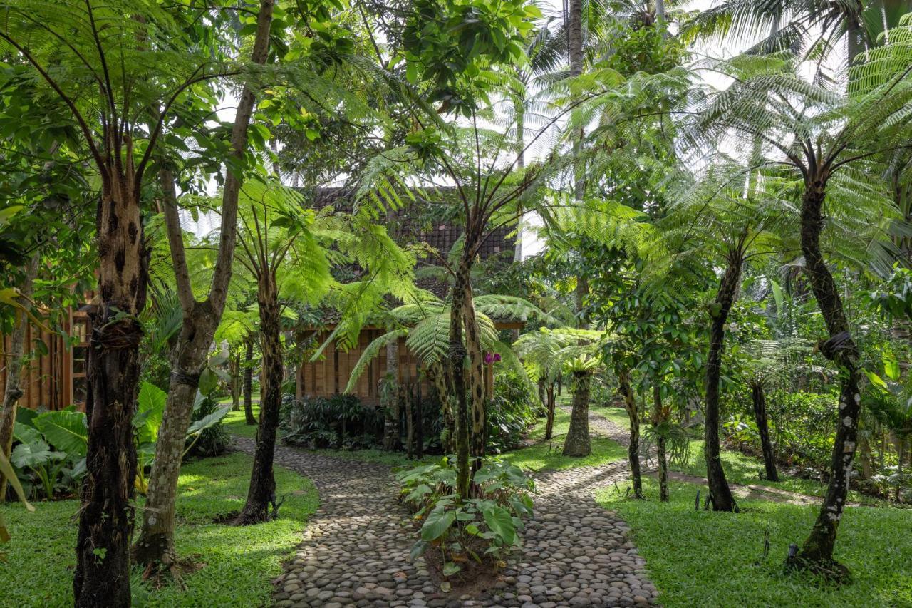 Rumah Kayu 4*