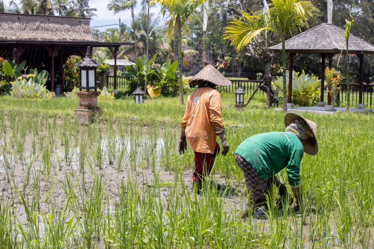 Anumana Village Hotel Ubud (Bali)
