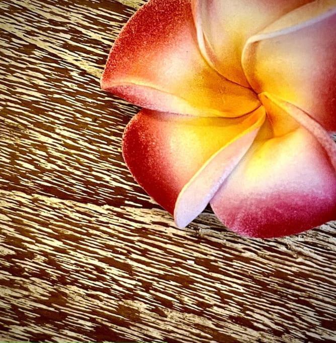 Boho Bellissimo Villa Ubud (Bali)