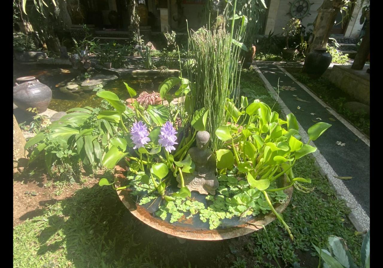 Wisma tamu Koi *