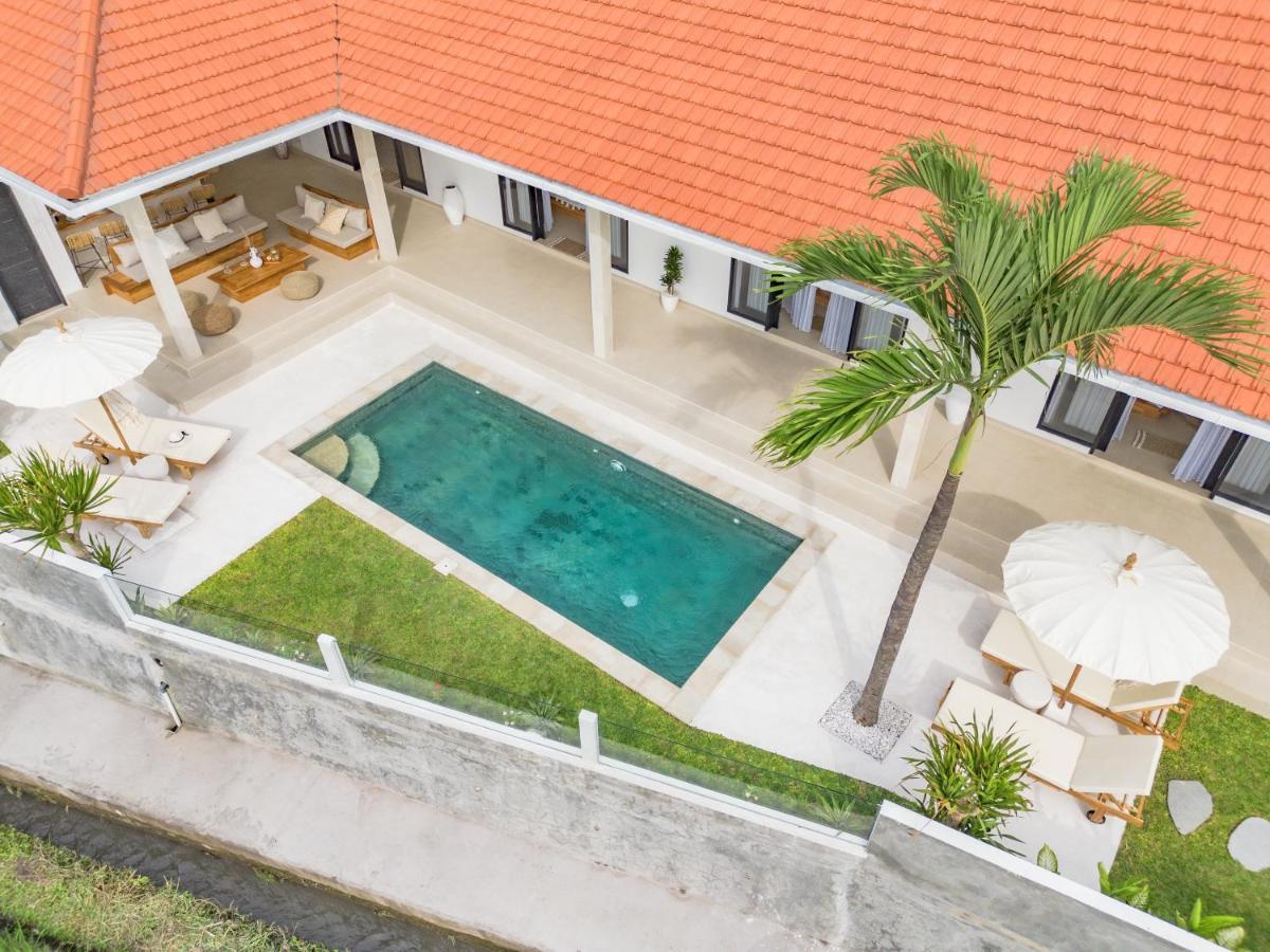Santorini Sunset New 4 Bedroom With Beautiful Rice Paddy View And A Large Pool Canggu (Bali)