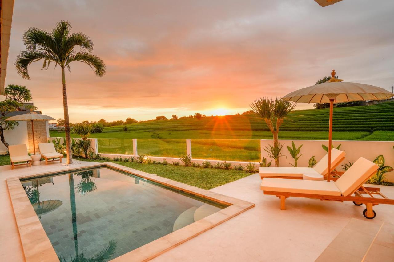 Santorini Sunset New 4 Bedroom With Beautiful Rice Paddy View And A Large Pool Villa Canggu (Bali)