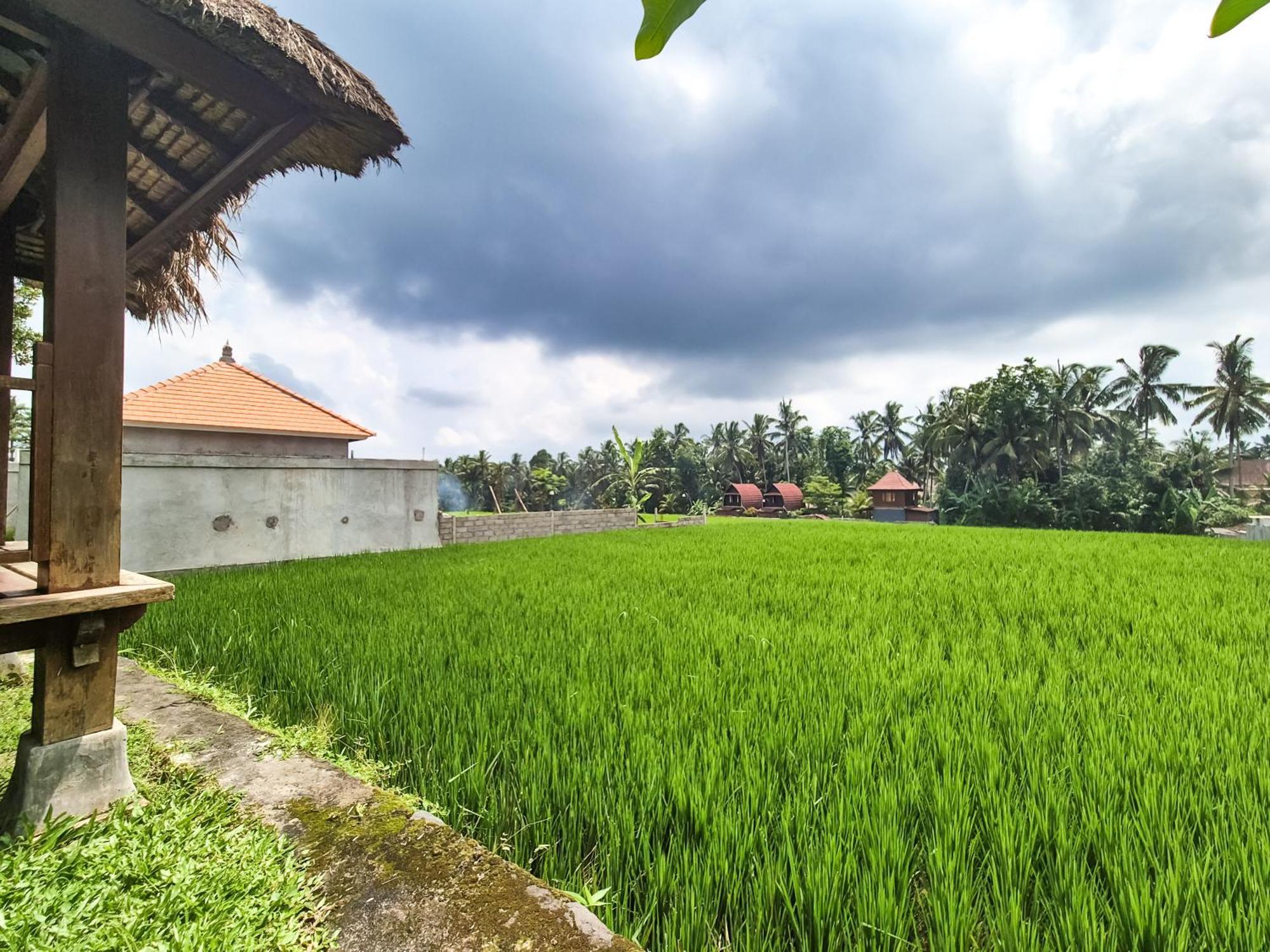 Padi Menari Villa Ubud (Bali)