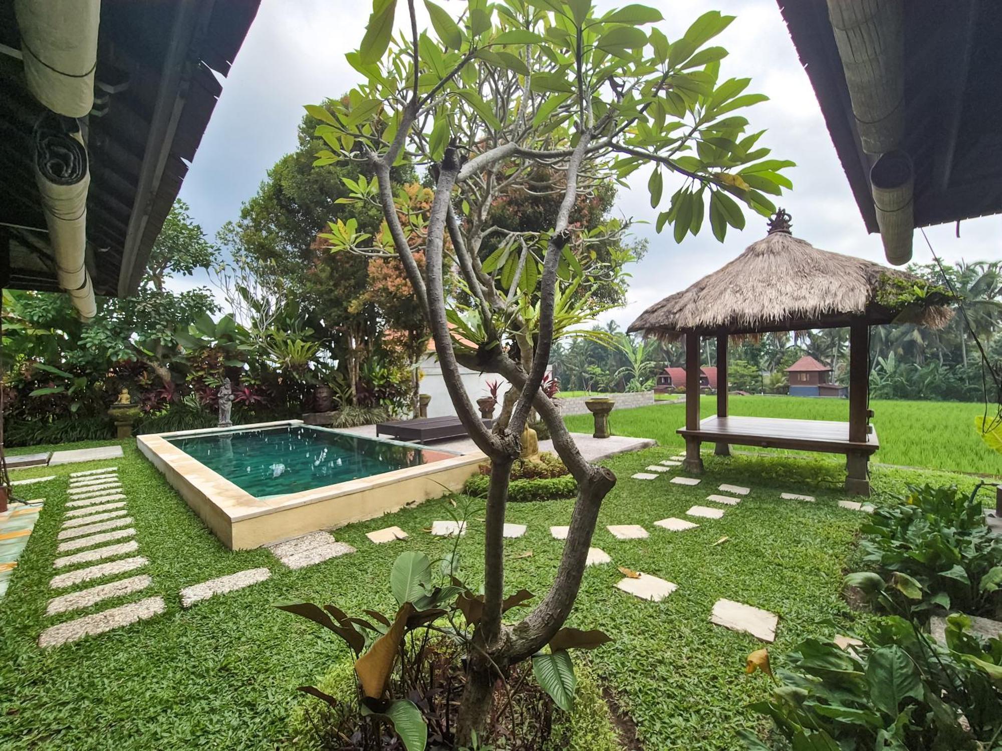 Padi Menari * Ubud (Bali)