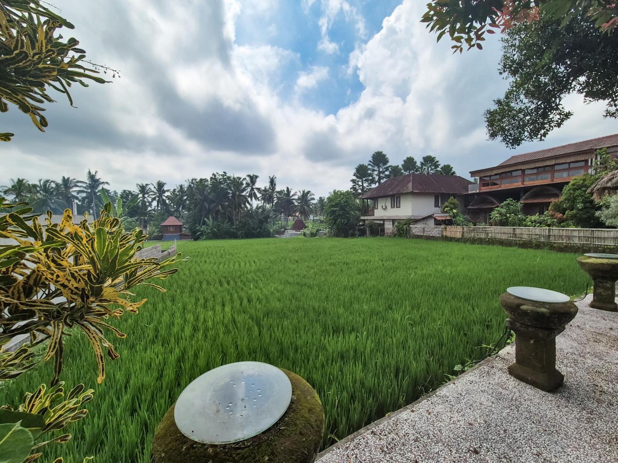 Padi Menari Villa *