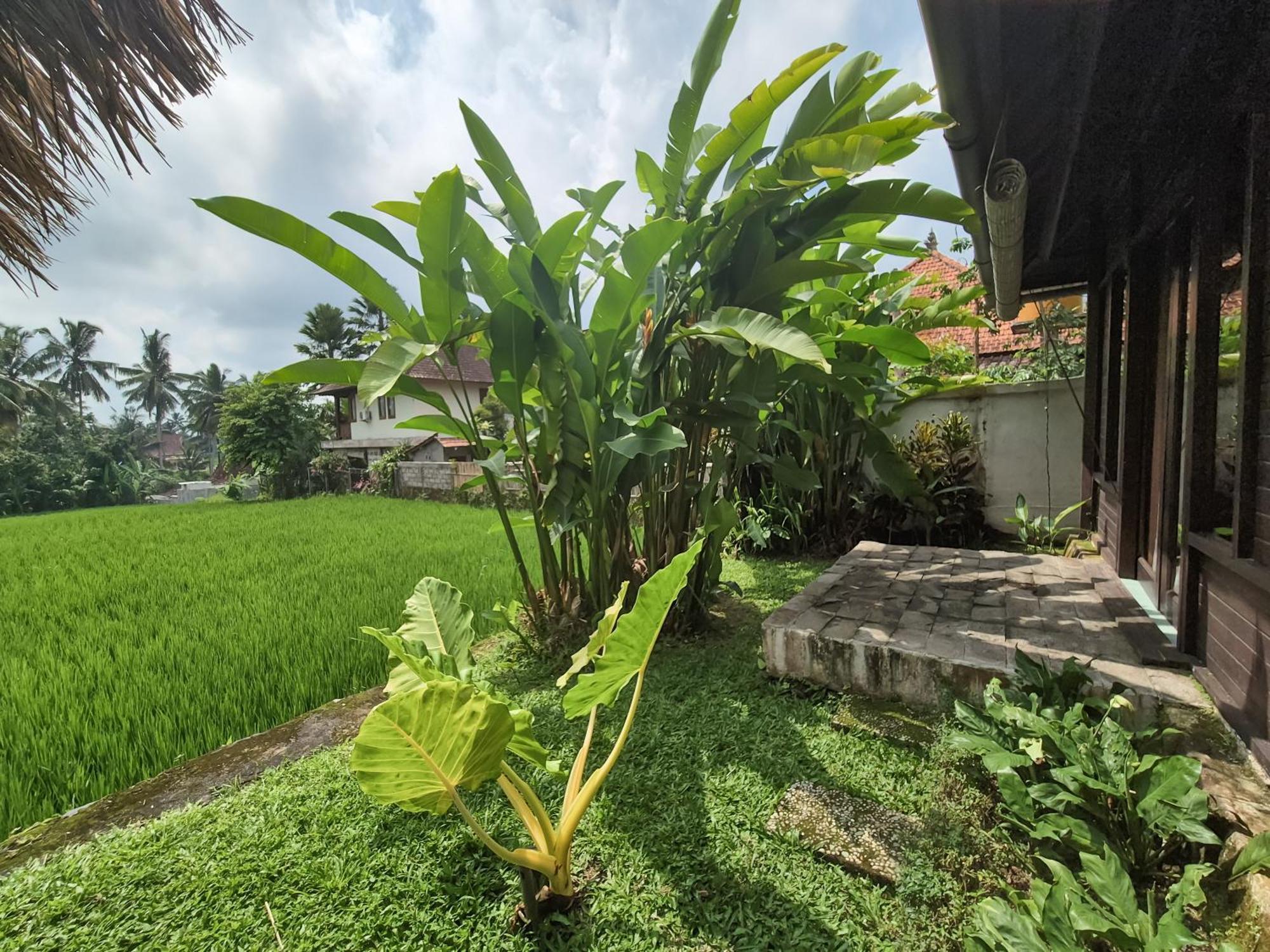 Padi Menari Villa *