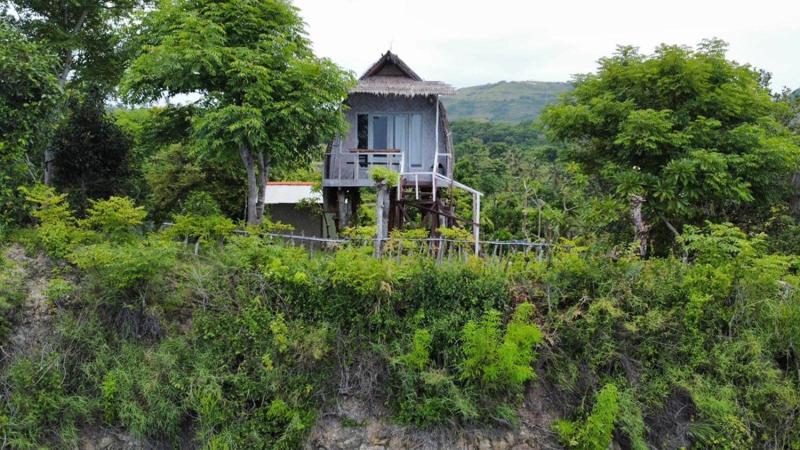 Eco-tourist Dreamstay Treehouse