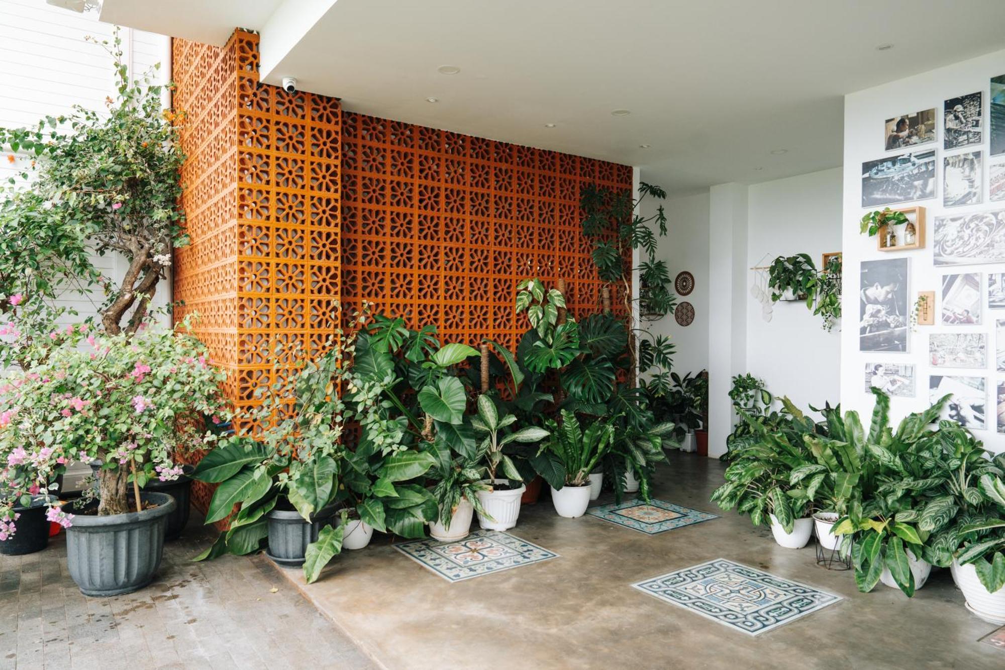 Mambo Hill Resort Toyapakeh