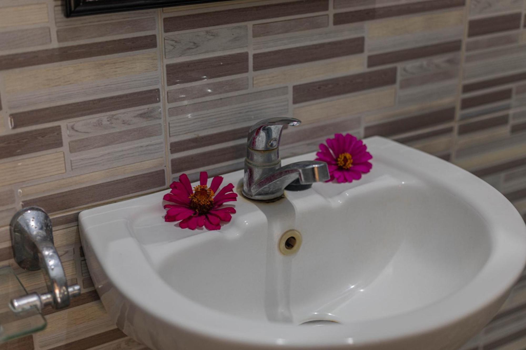 Swan Guest house