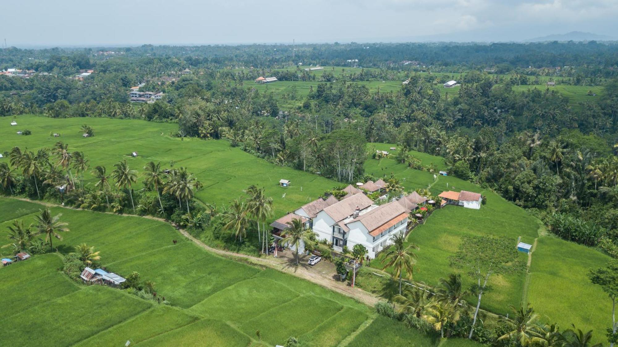 Tanta Escape Tegallalang (Bali)