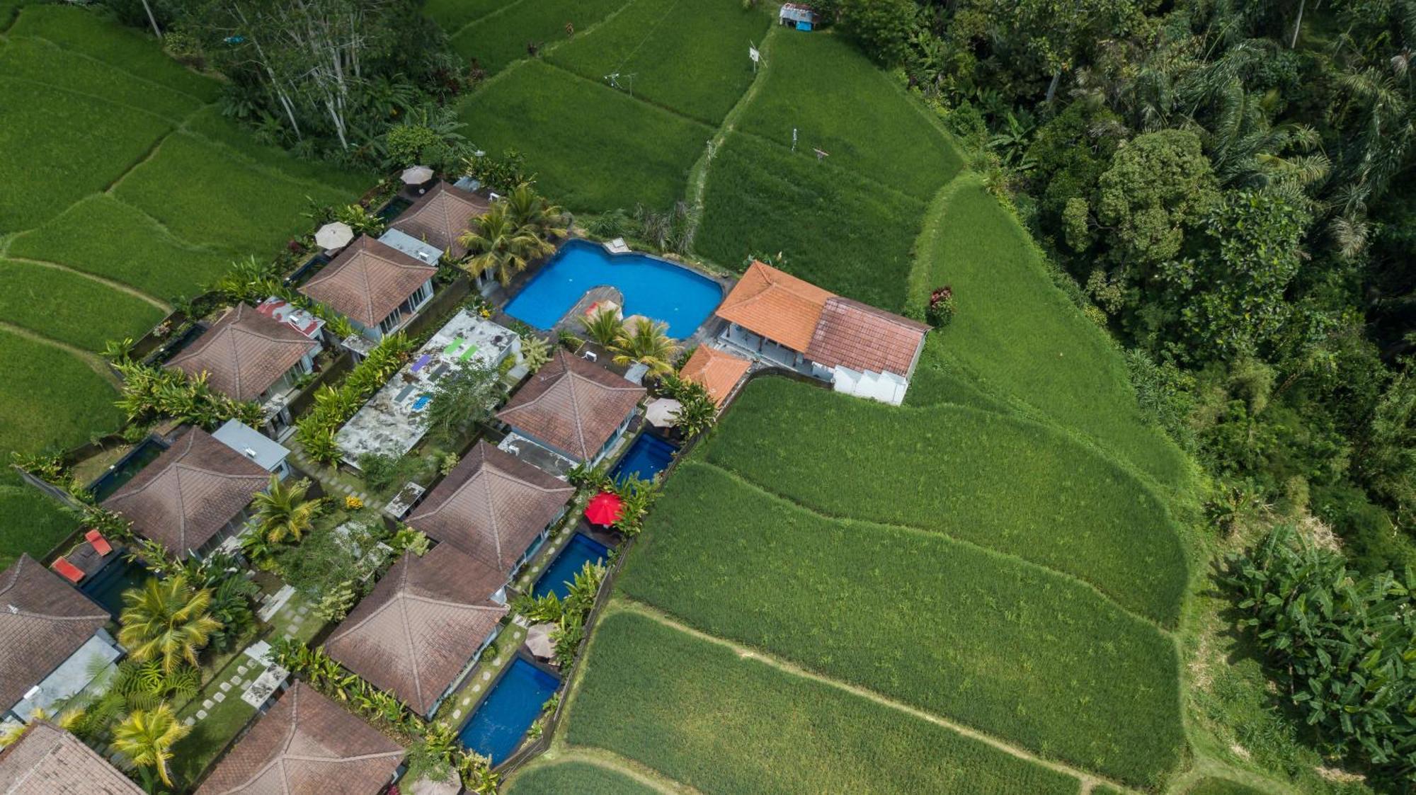 Hotel Tanta Escape