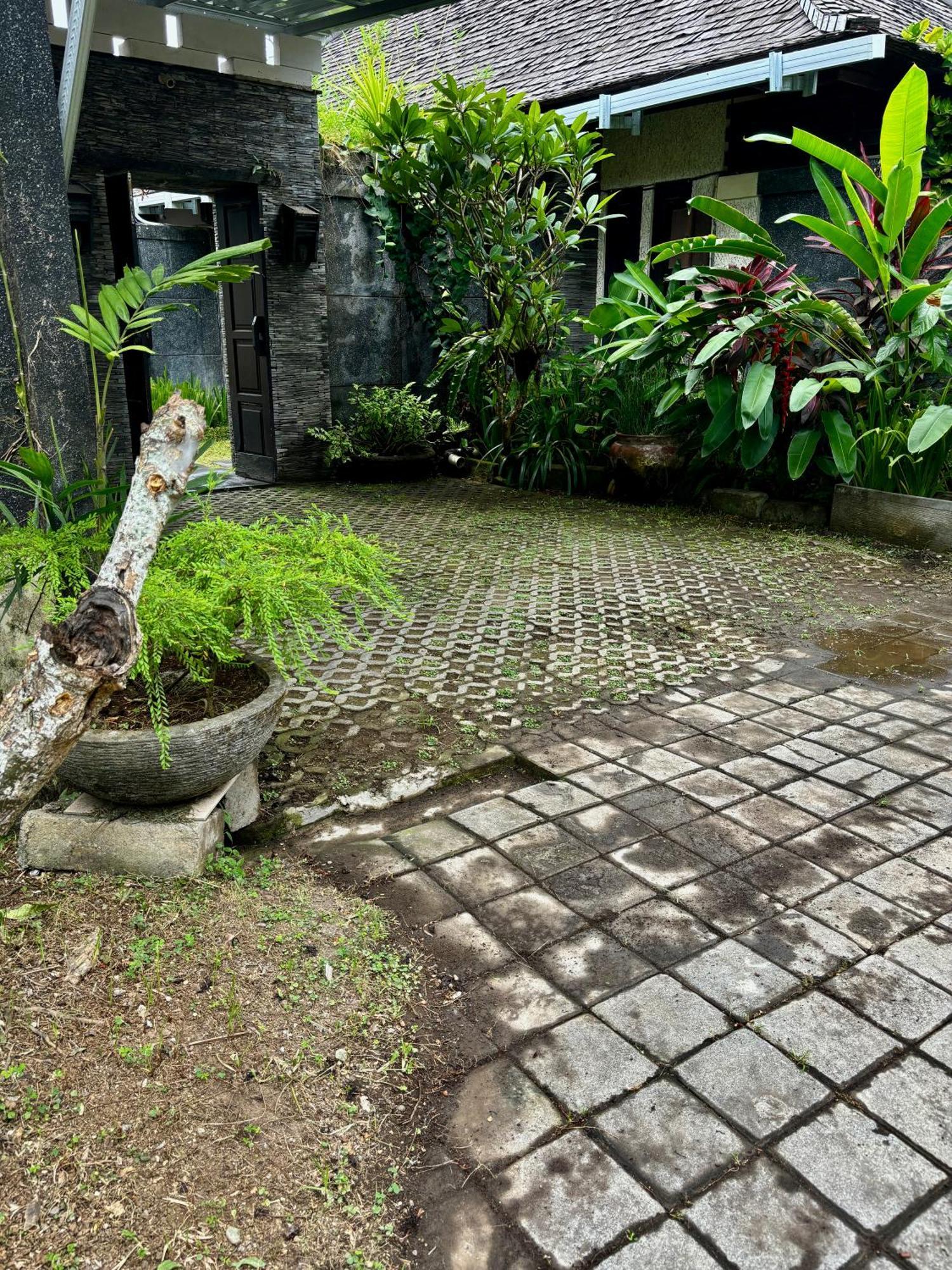 Buddha Umalas * Kerobokan (Bali)