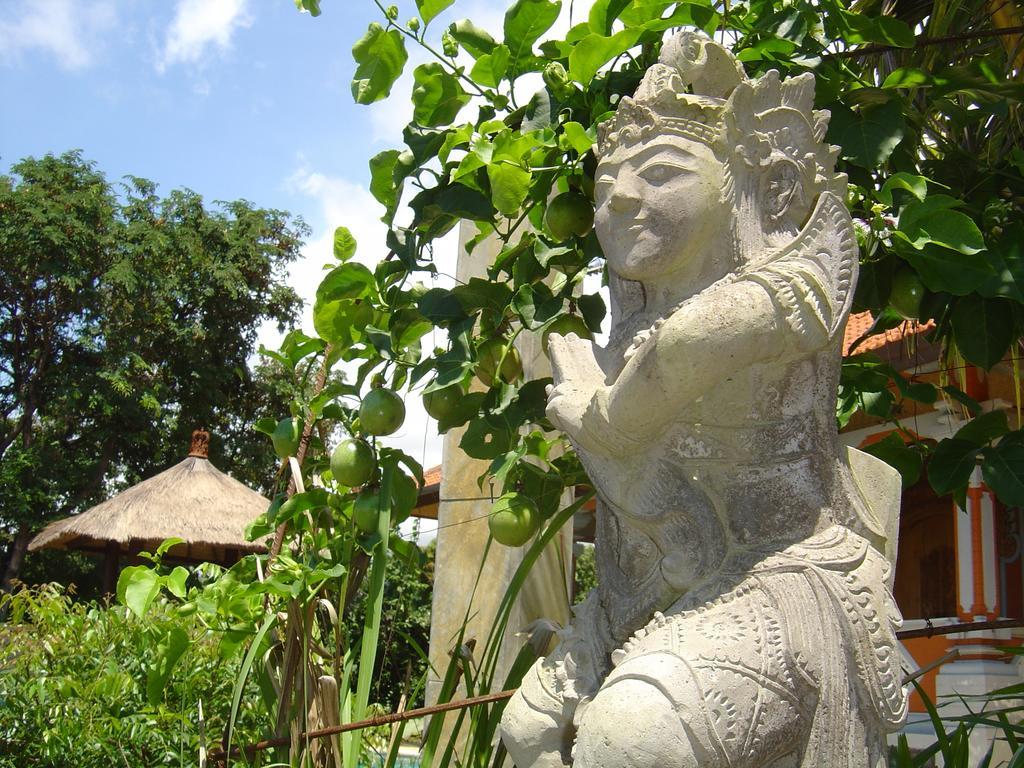 Villa The Raja Singha Boutique Bali Lovina (Bali)