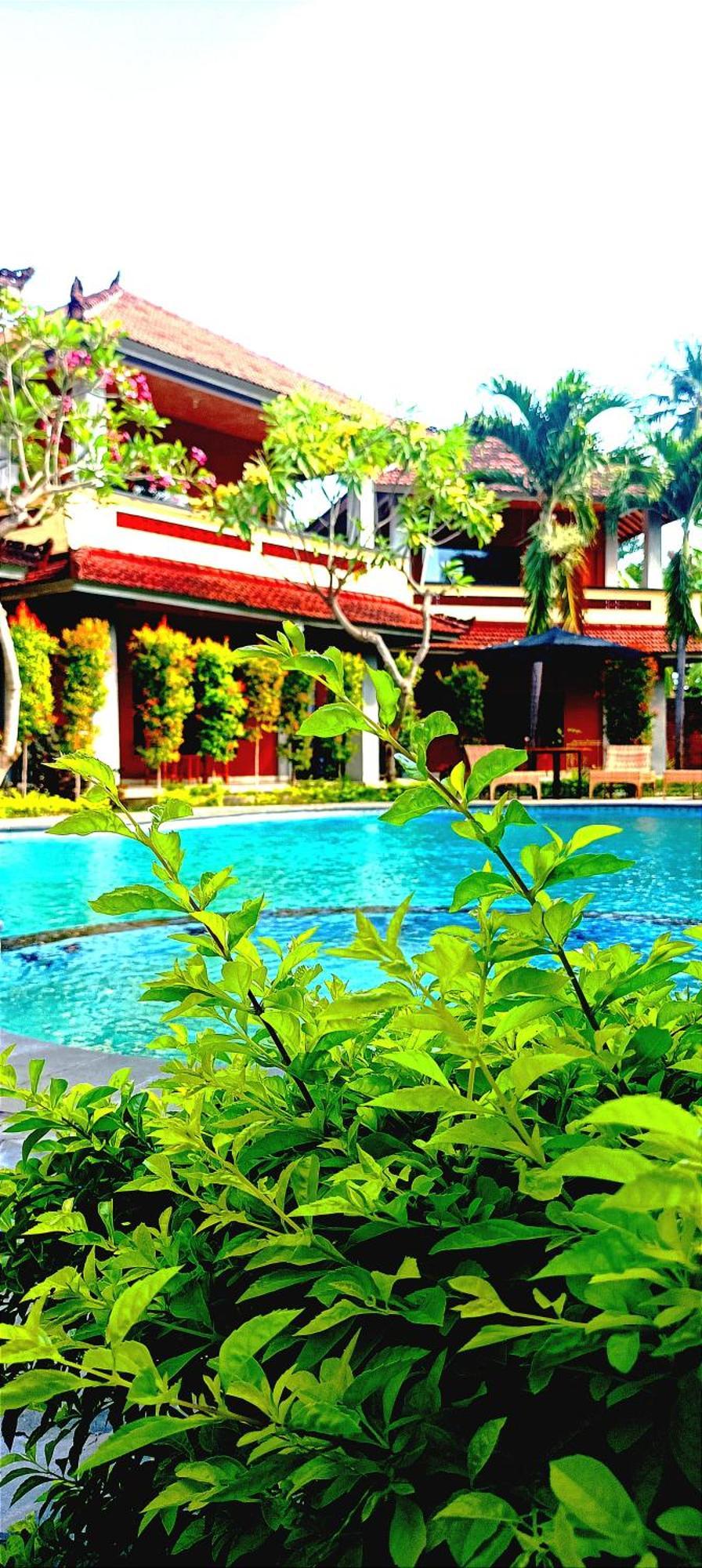 My Guest house Lovina (Bali)