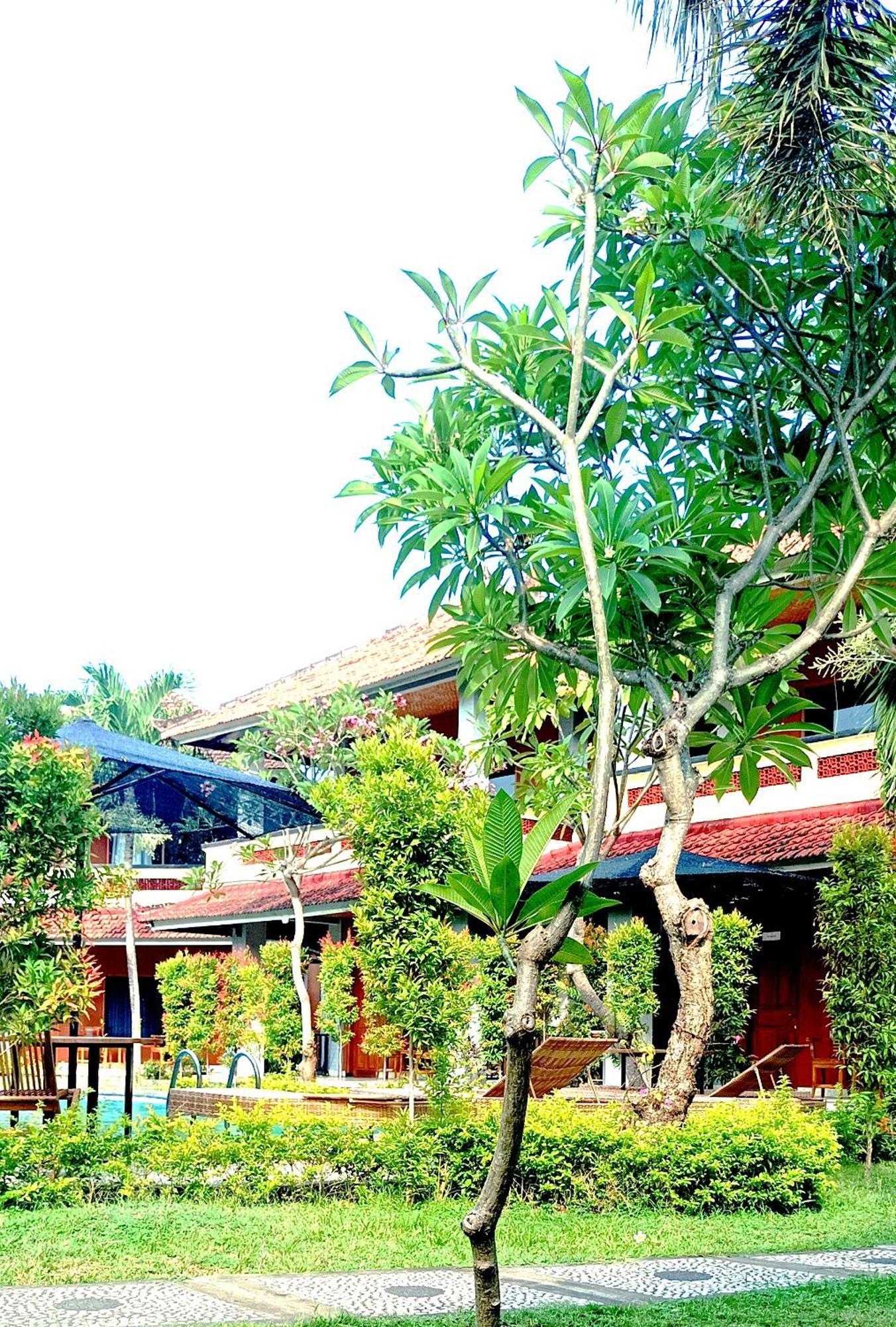 My 4* Lovina (Bali)