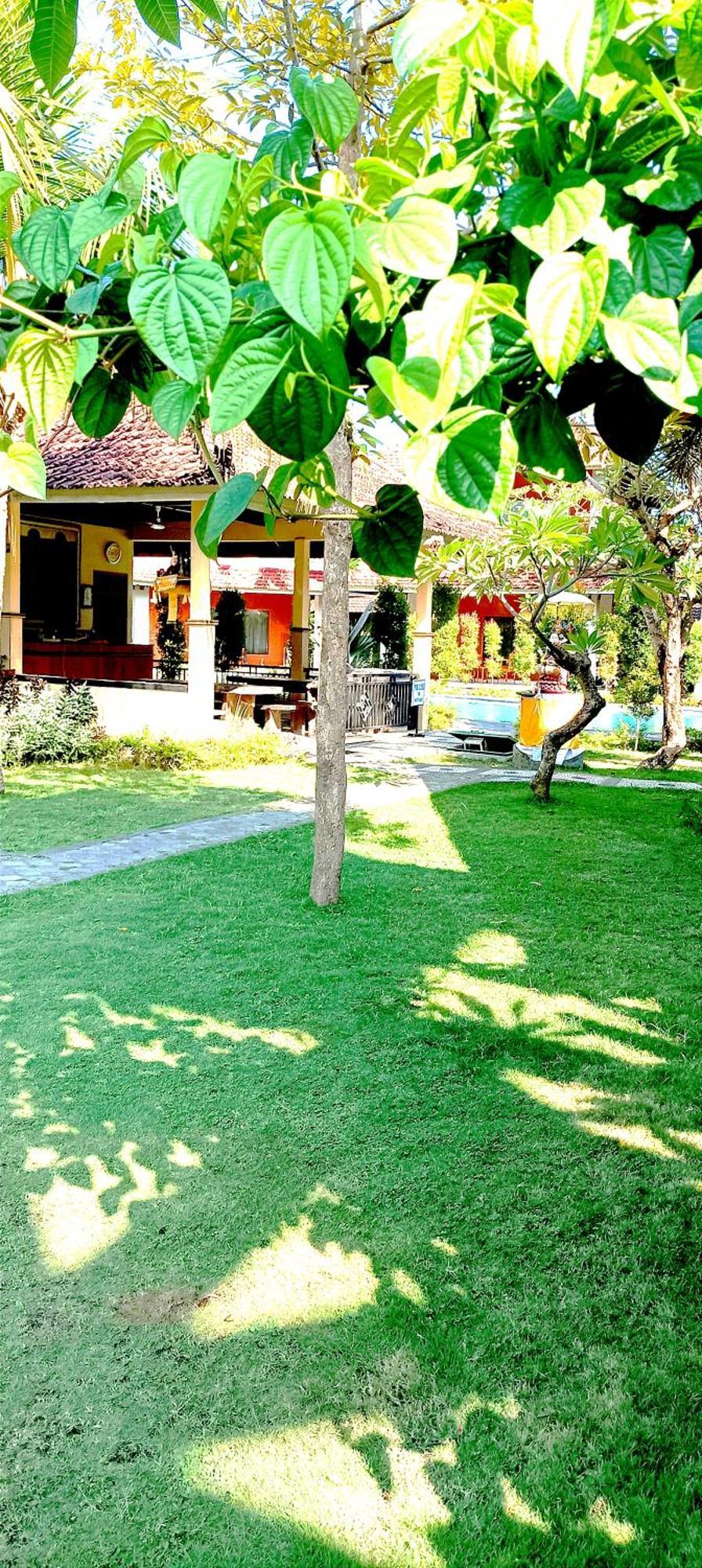 My Guest house