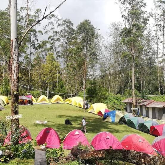 Luxury tent Wong Deso *