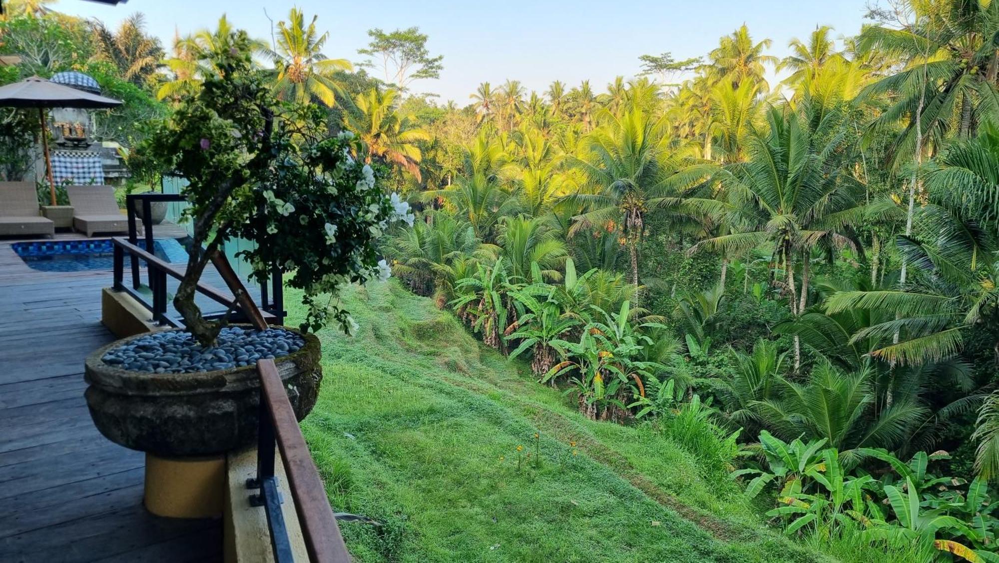 Resor Puri Sebali 5*