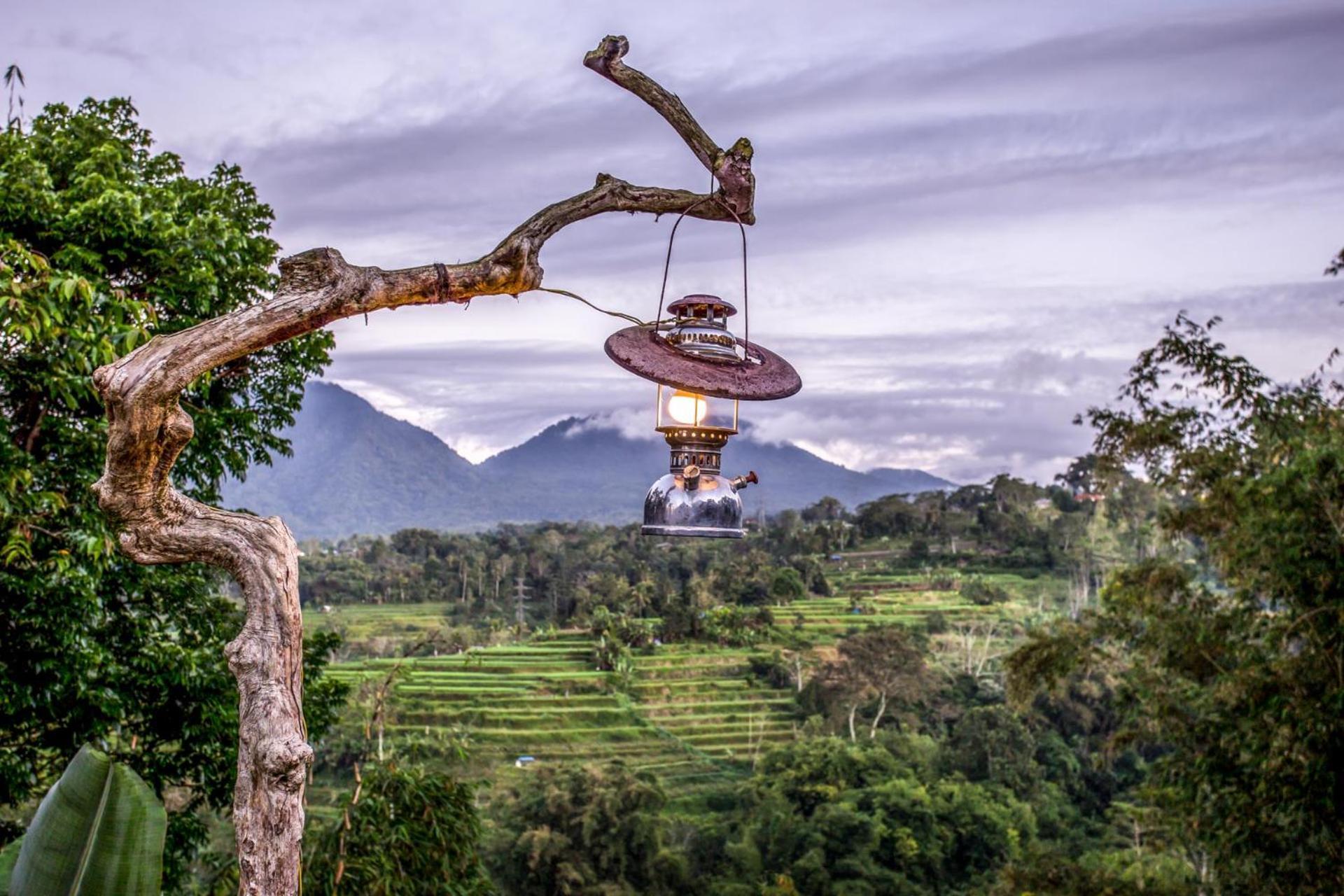 Guest house Nyoman Bedugul By Agata 3*