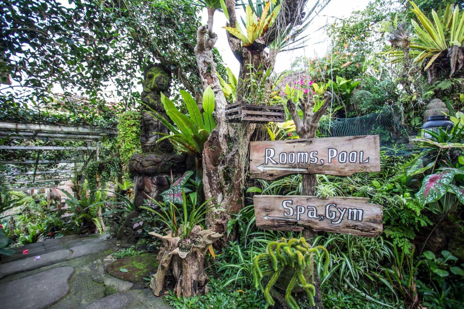 Nyoman Bedugul By Agata Guest house Bedugul (Bali)
