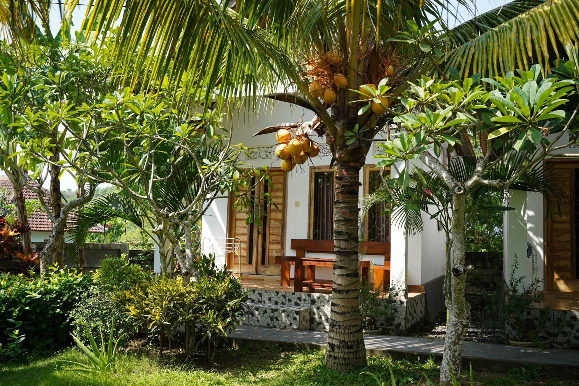 Guest house Wahyu Masari Toyapakeh