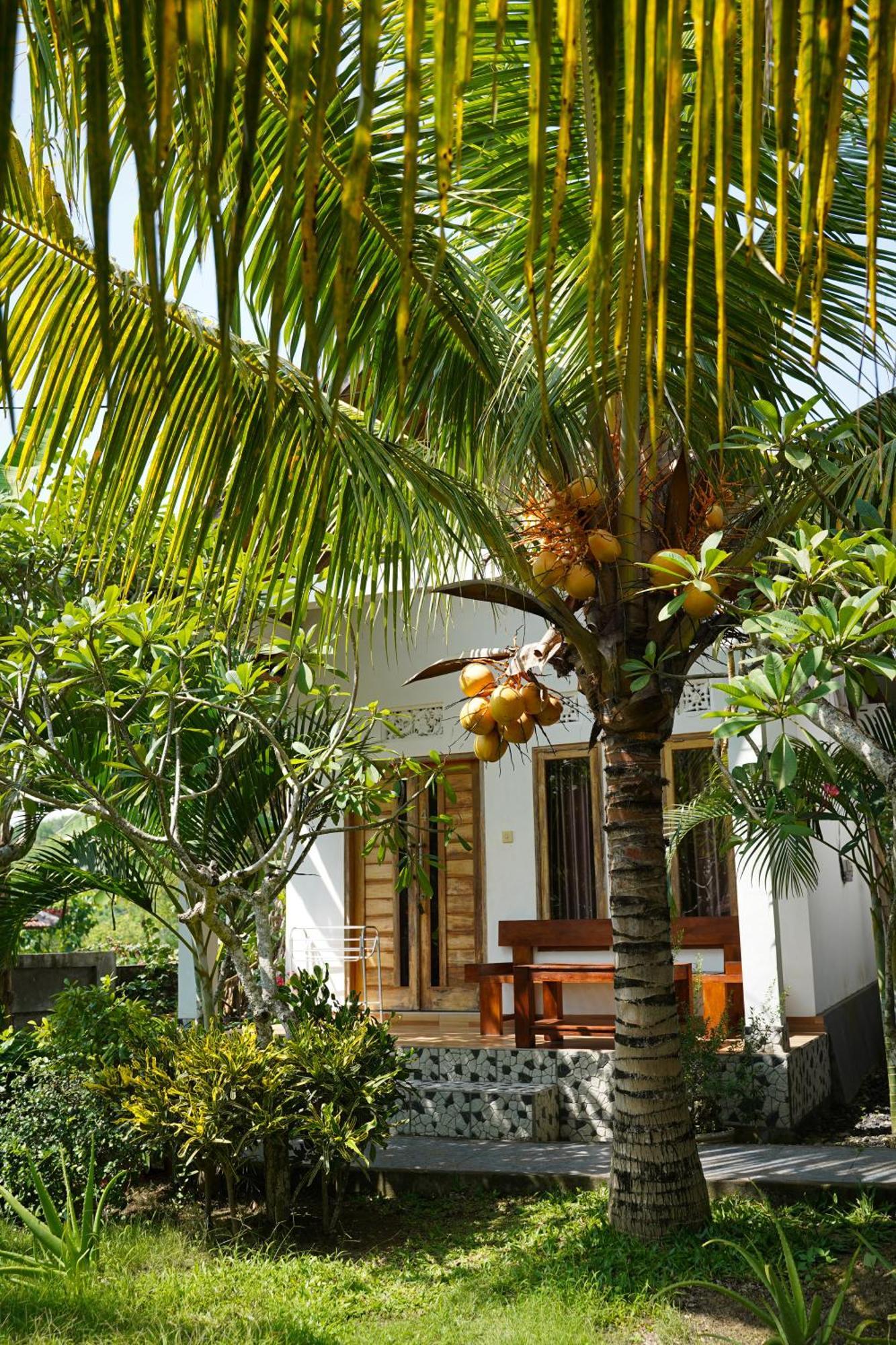 Guest house Wahyu Masari