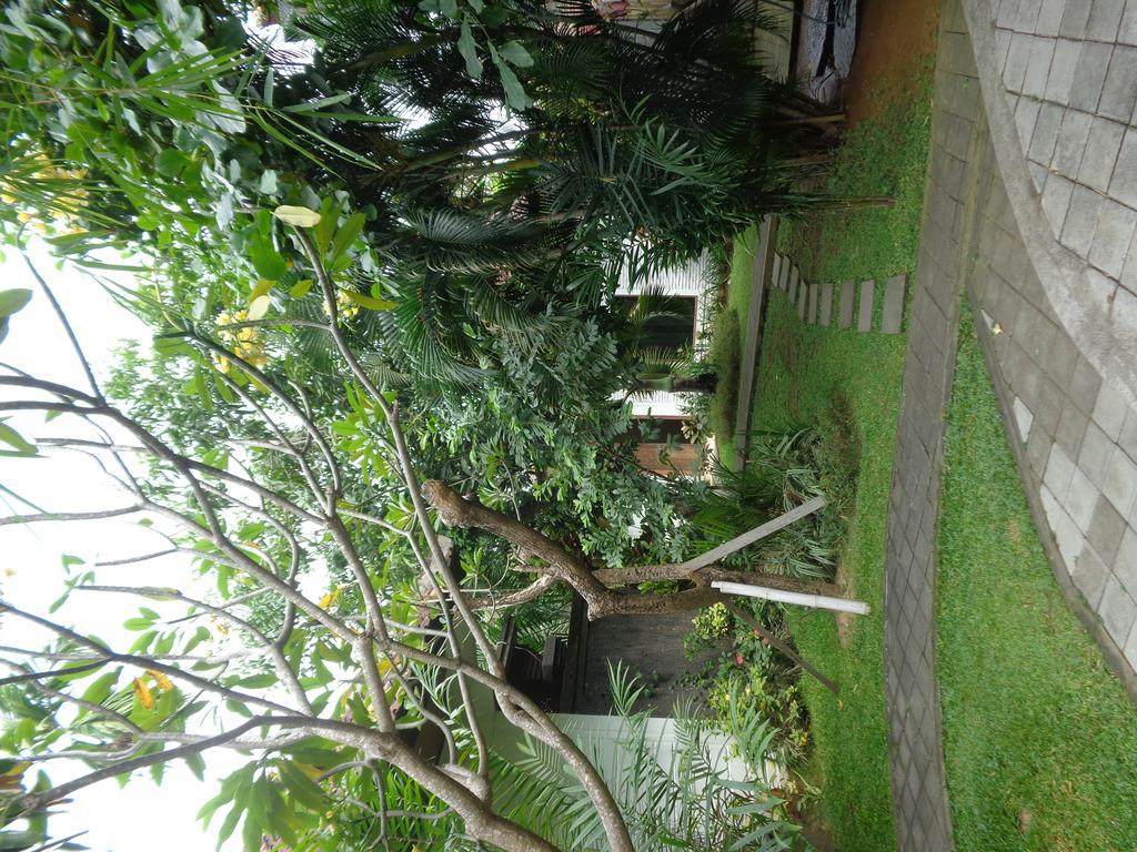 Arca Bungalow Guest house BALI