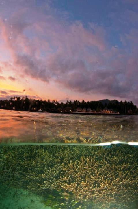 Talia Vashti - Oceanfront With Private Sea Access, Pool & Cook * Candi Dasa (Bali)