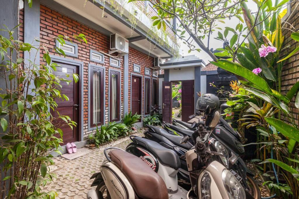 The Backyard House Wisma tamu *