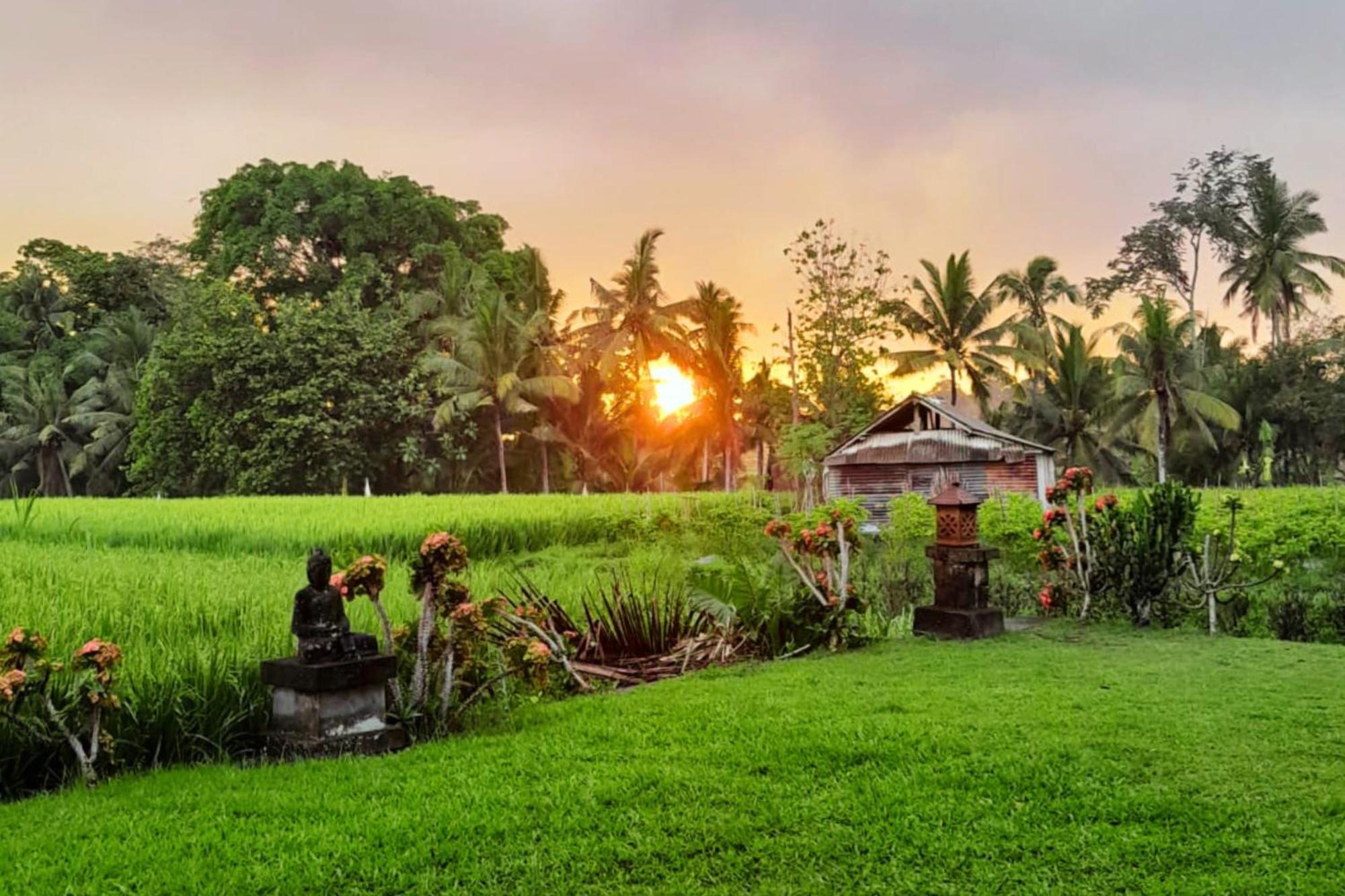 Villa Umasari Rice Terrace By Agata Tabanan (Bali)