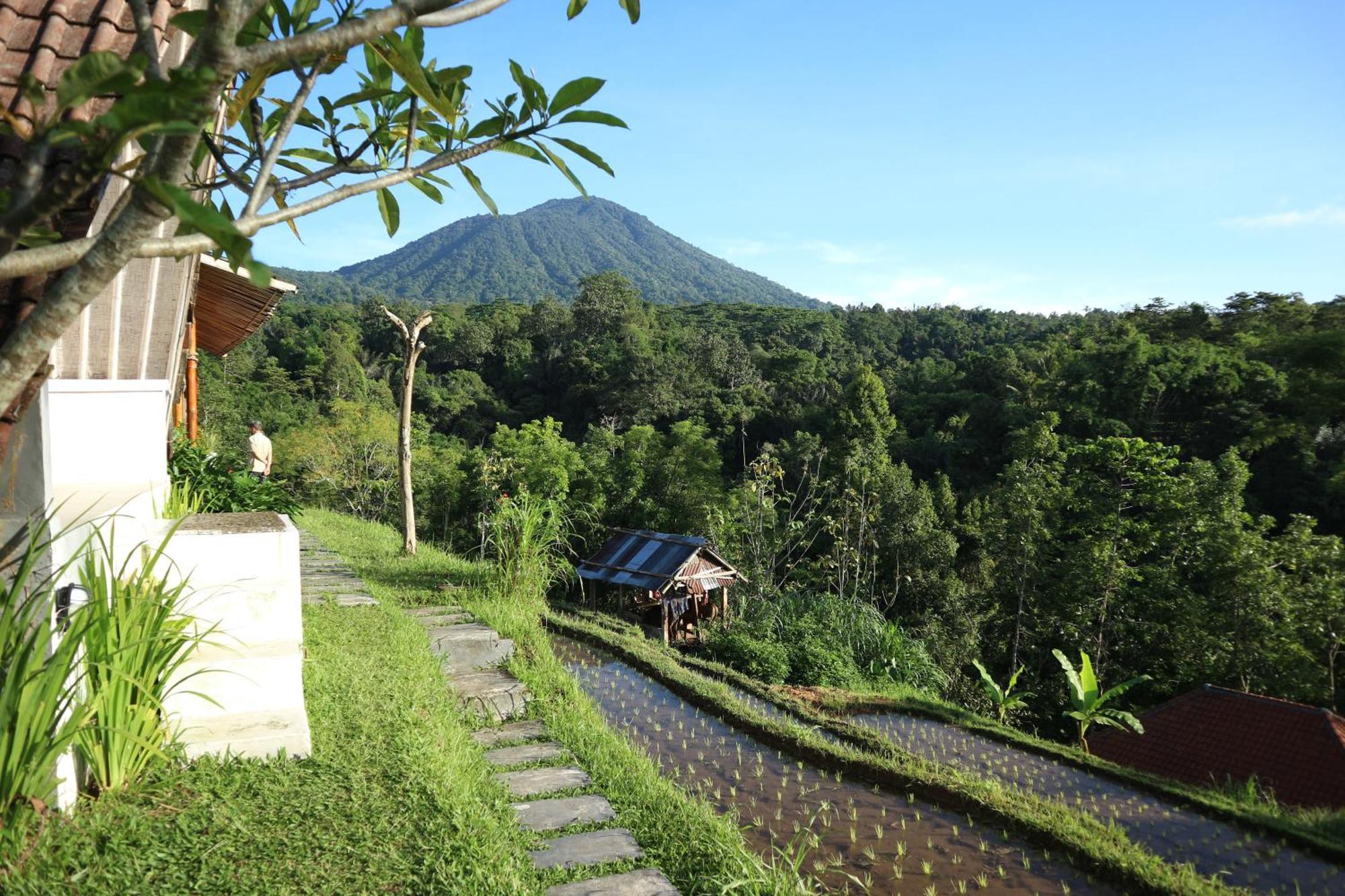 Lodge Padi Bali Jatiluwih *