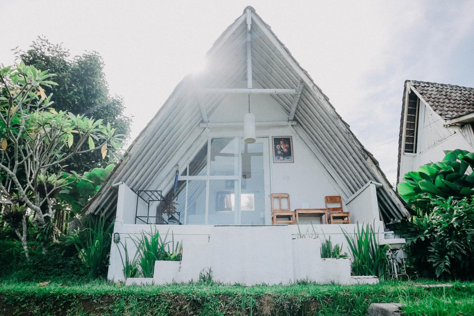 Padi Bali Jatiluwih * Tabanan (Bali)