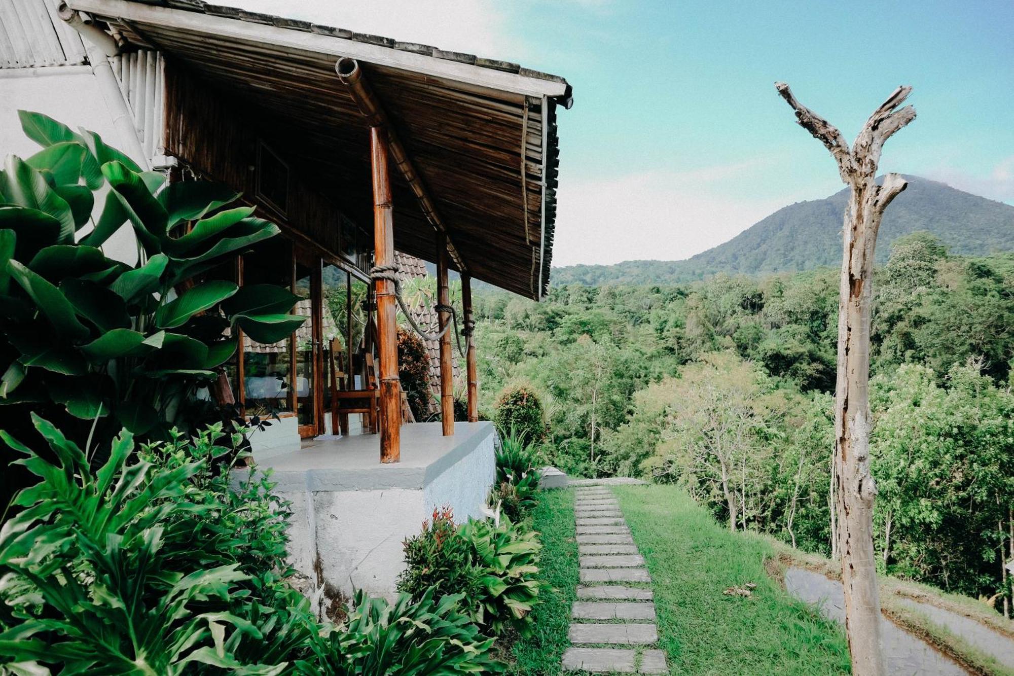 Padi Bali Jatiluwih Tabanan (Bali)