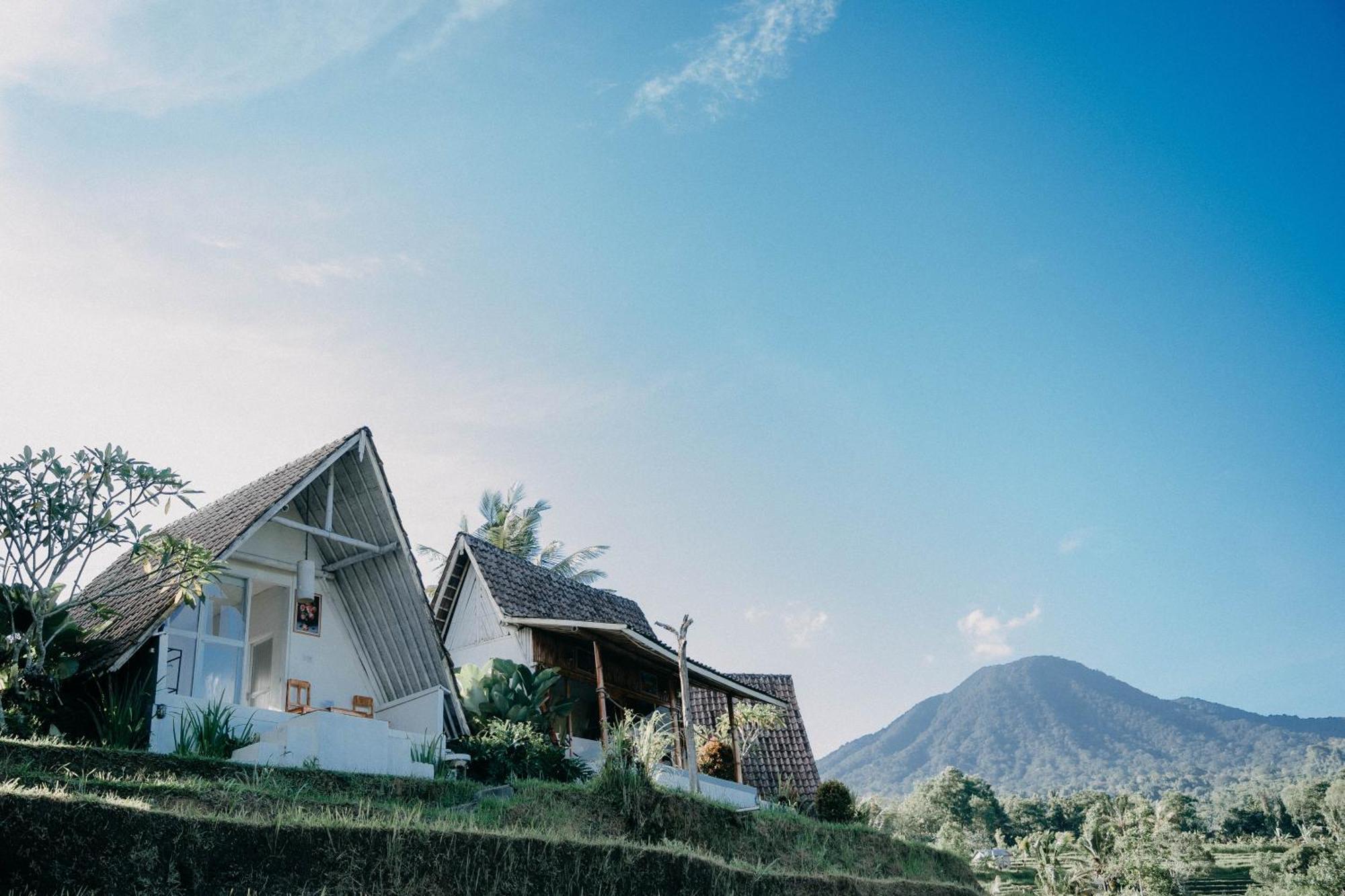 Lodge Padi Bali Jatiluwih Tabanan (Bali)