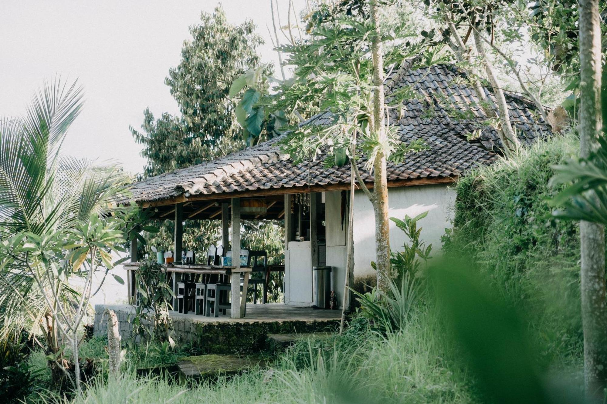 Lodge Padi Bali Jatiluwih