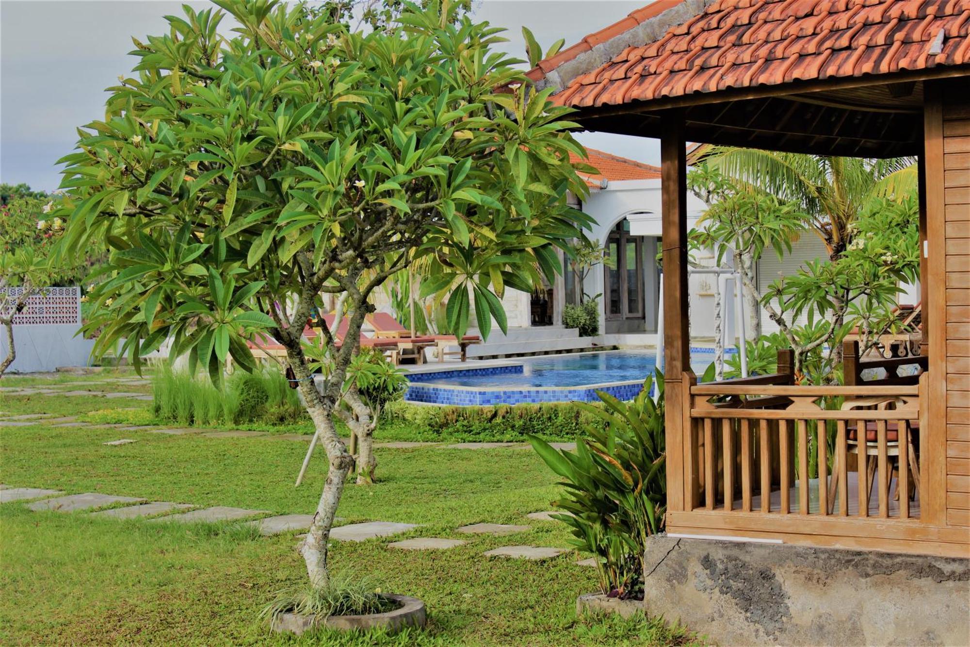 Village Jungle