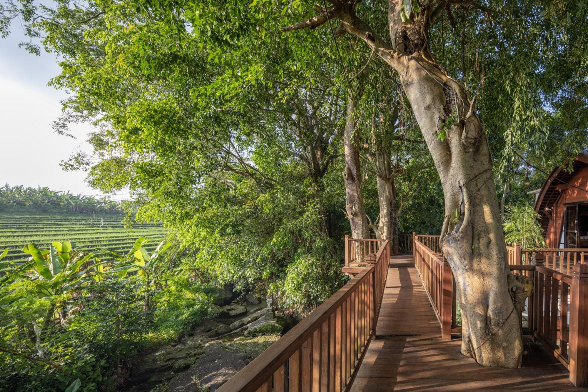 Paripadi Private And Sanctuary *