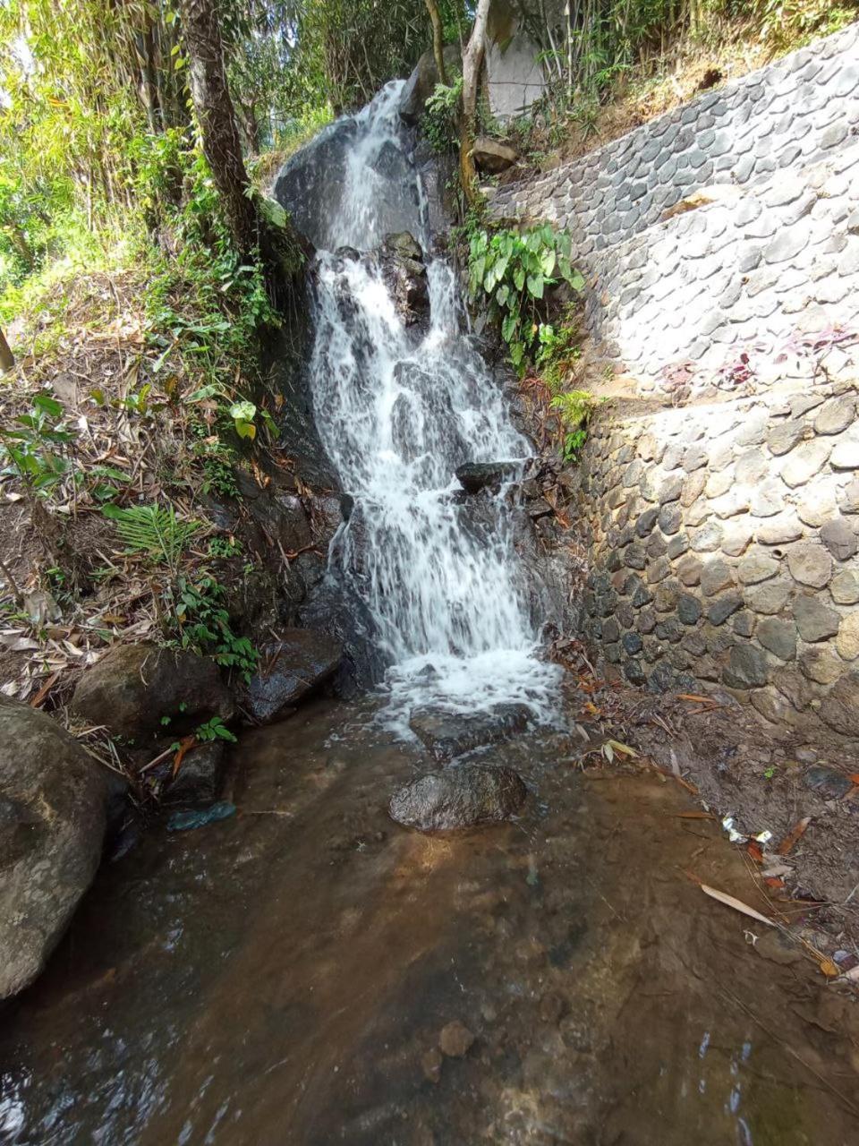 Hotel Rostika Villa&camping Sekumpul