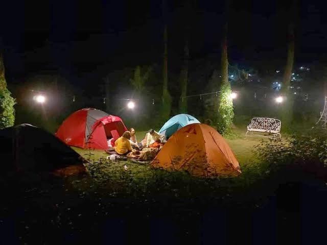 Luxury tent Wong Deso Seminyak (Bali)