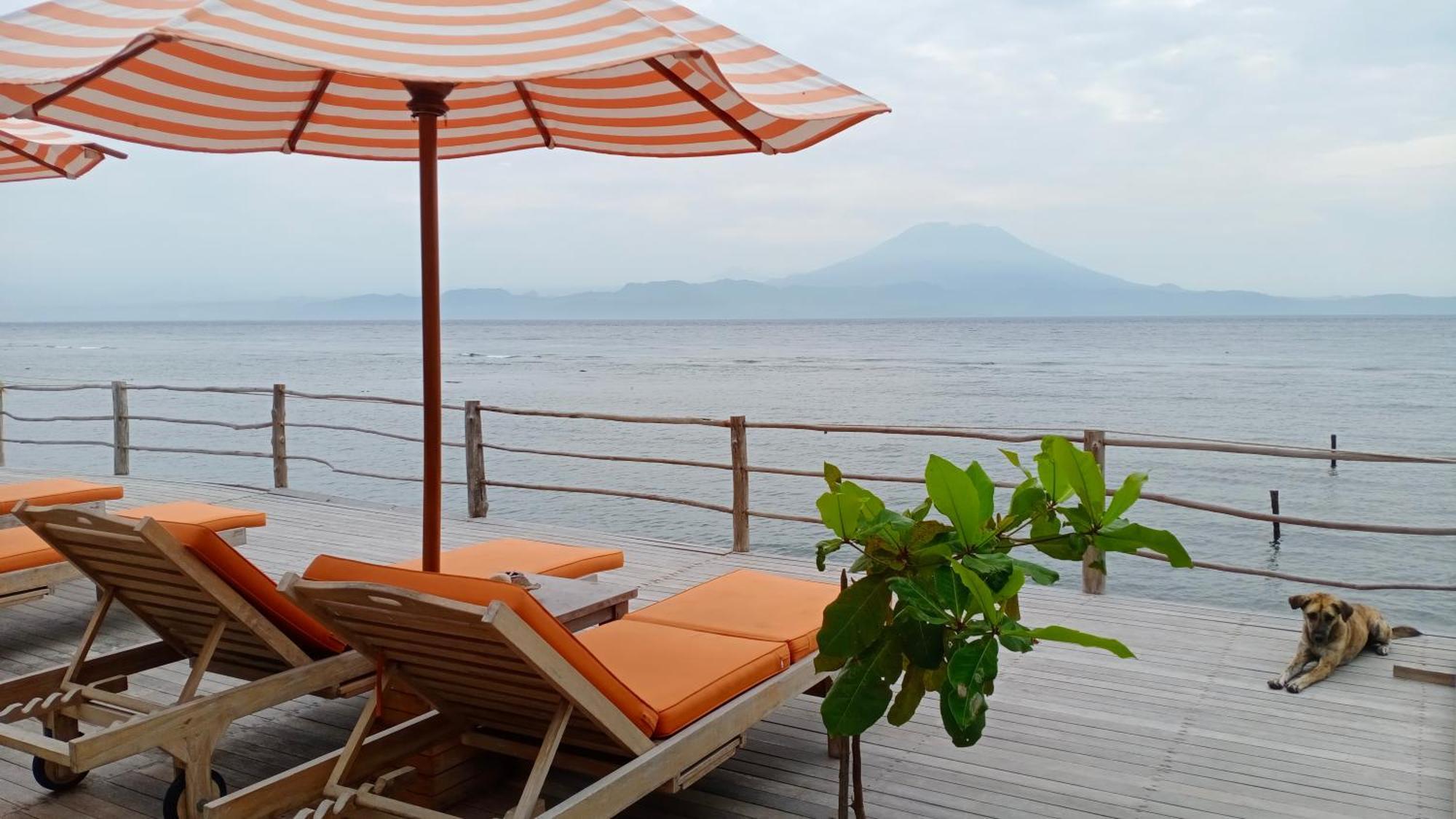 Guest house Vns Beachfront